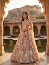 Brown Butterfly Soft Net Heavy Sequins and Dori Work Designer Bridal Lehenga Choli with Soft Net Dupatta